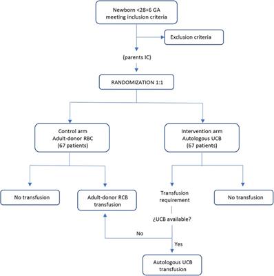 Effect of autologous umbilical cord blood transfusion in the development of retinopathy of prematurity: randomized clinical trial – study protocol